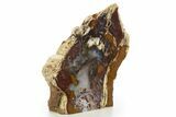 Colorful, Hubbard Basin Petrified Wood Stand-up - Nevada #334978-1